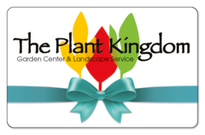 The Plant Kingdom logo over white background with blue gift bow